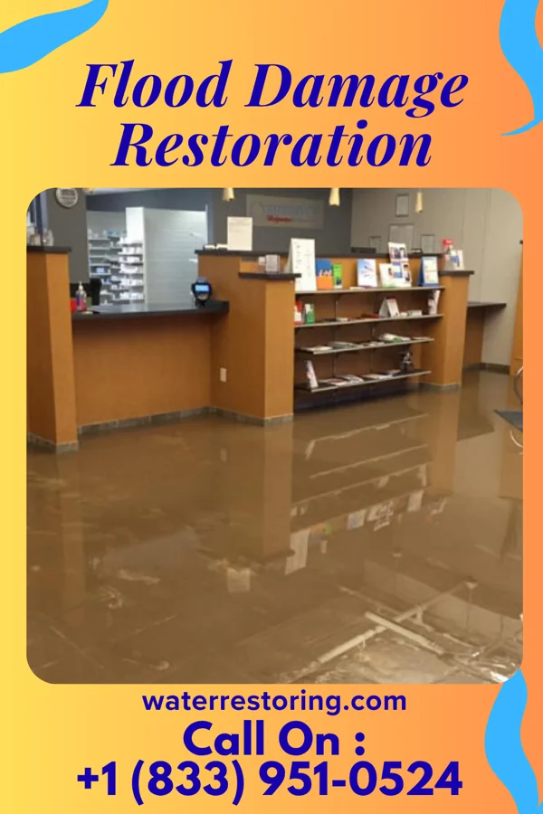 Flood Damage Restoration in San Antonio, FL