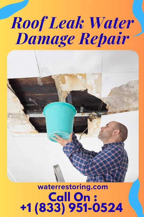 Roof Leak Water Damage Repair in San Antonio, FL